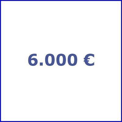 6.000 €