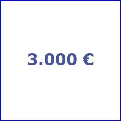 3.000 €