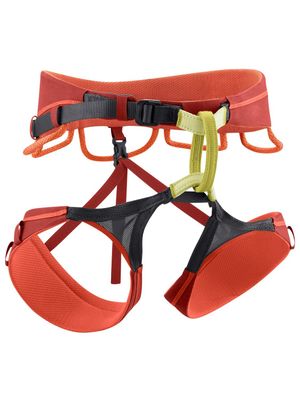 Harnesses