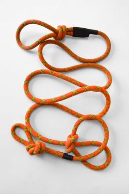 Dog Lead
