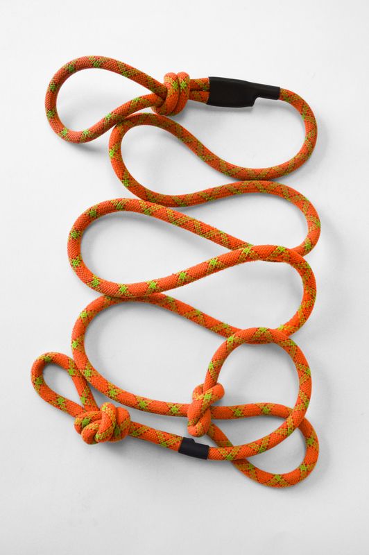 Dog Lead