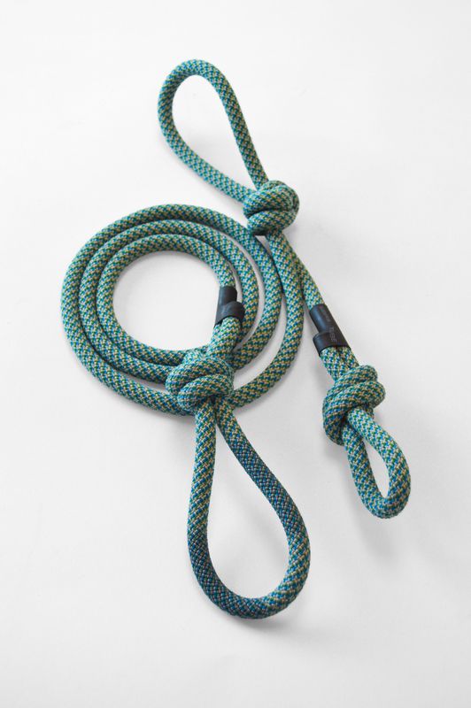 Dog Lead