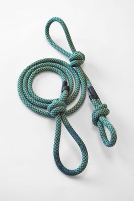 Dog Lead