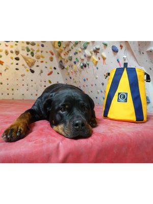 Enigma Equipment Apex Bouldering Bucket