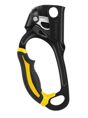 Petzl Ascension Ascender