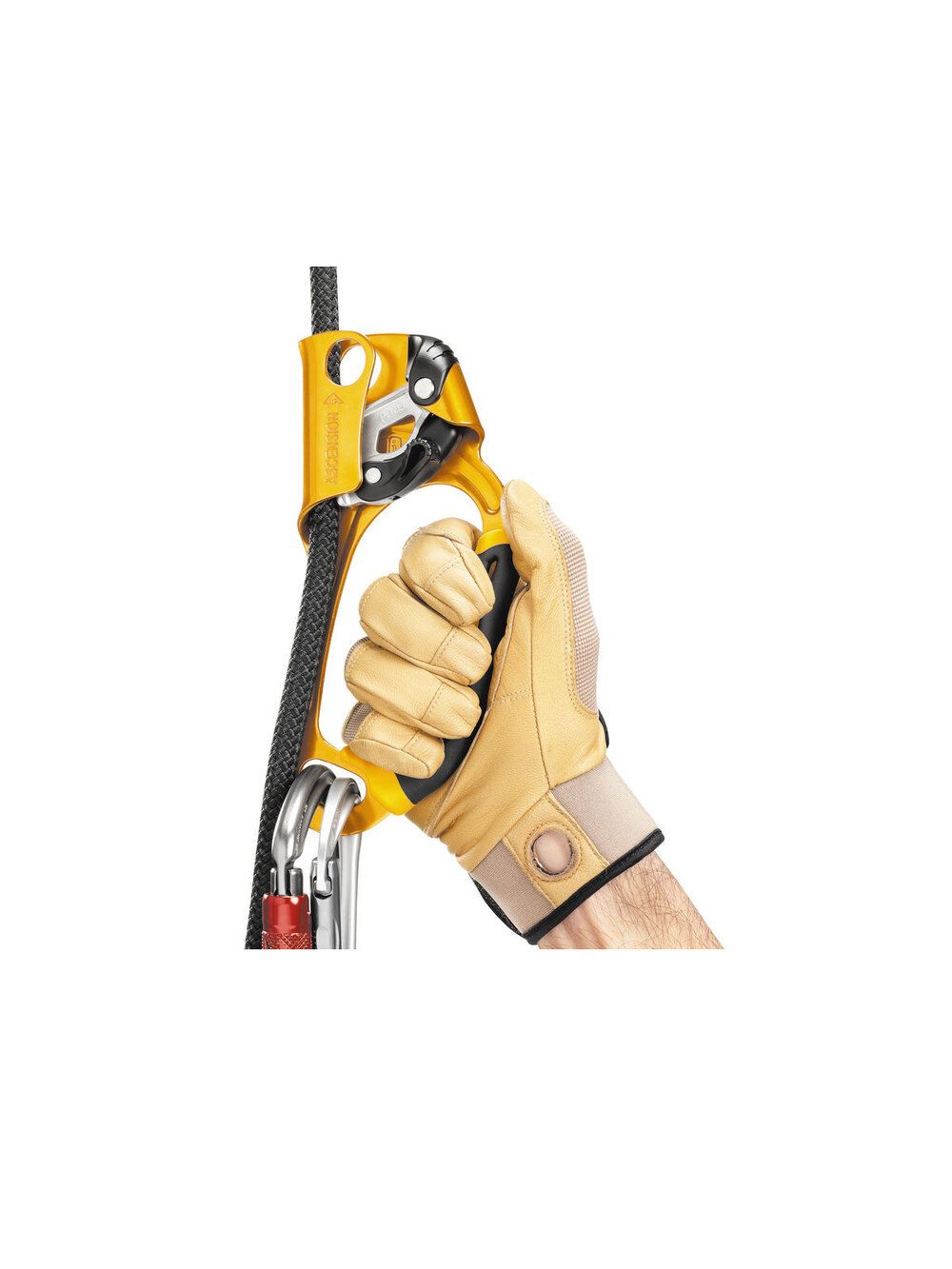 Petzl Ascension Ascender