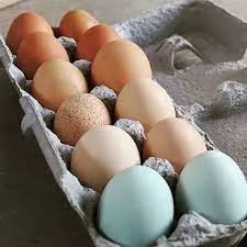 Farm FreshPasture Raised Eggs 1 dozen