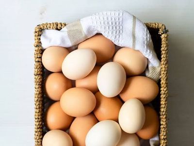 Egg
