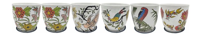 7 7" Inlay Tropical Planter Assortment