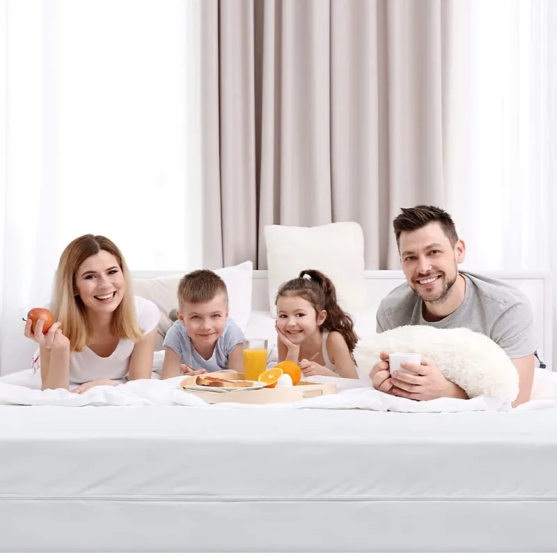 Mattress Encasement