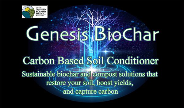 Biochar