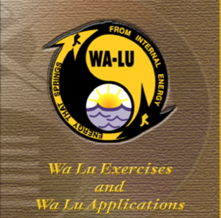 Walu 1 - Exercises &amp; Applications - Digital Download