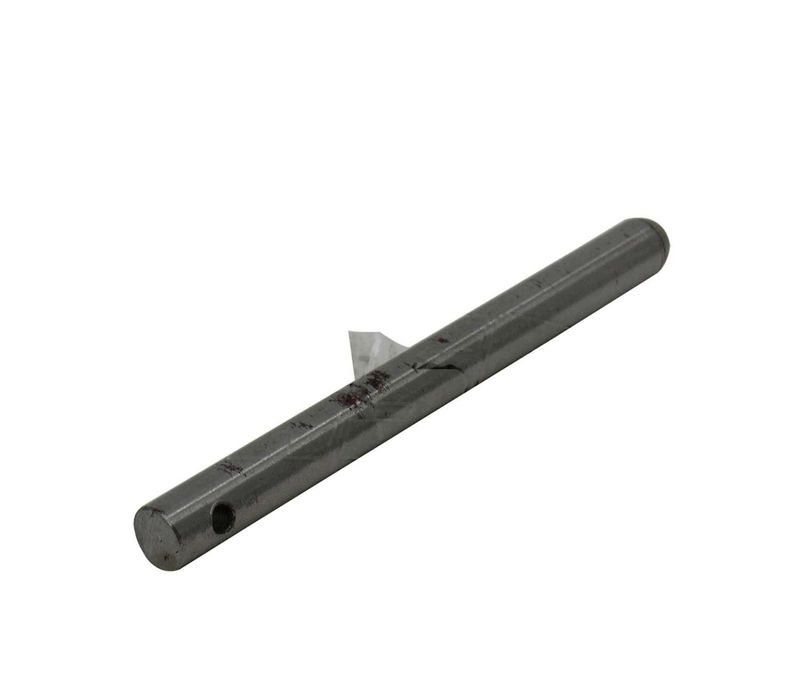 PIN BAGGAGE DOOR - 310006-000