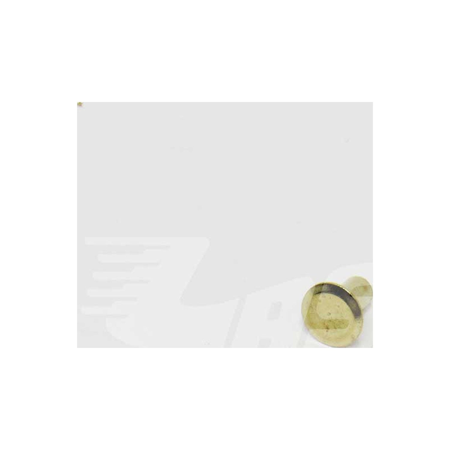 BRAKE PAD RIVETS - 105-00200