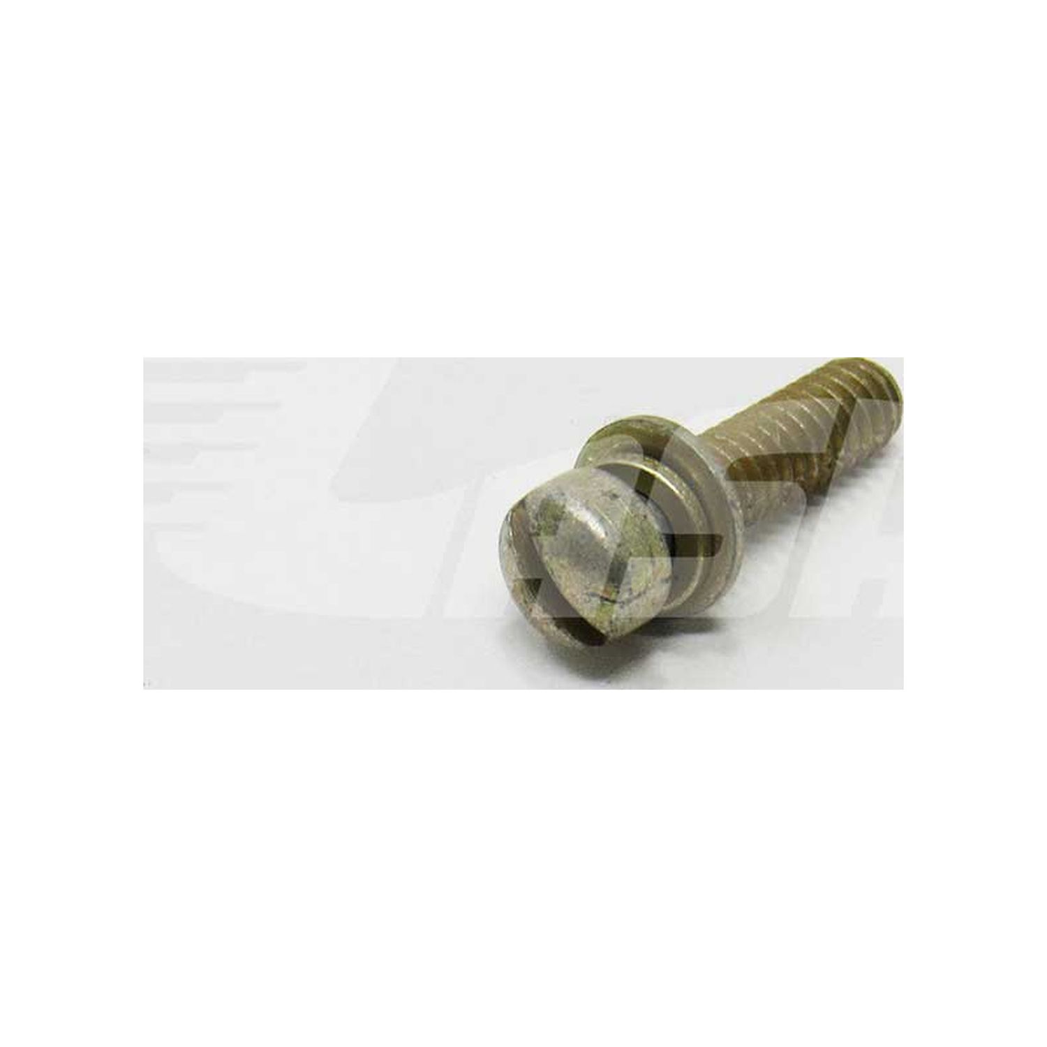 SCREW - 10-102083