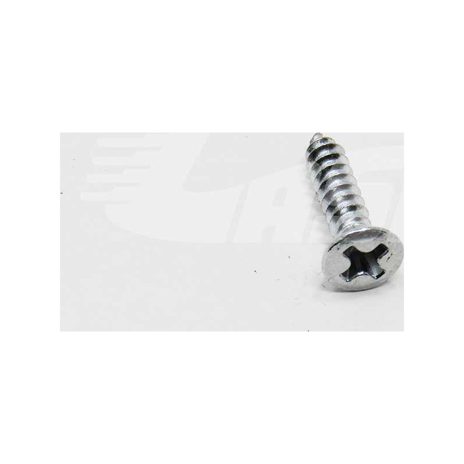OVAL SCREW 6Rx5/8 SS OVAL - 1793