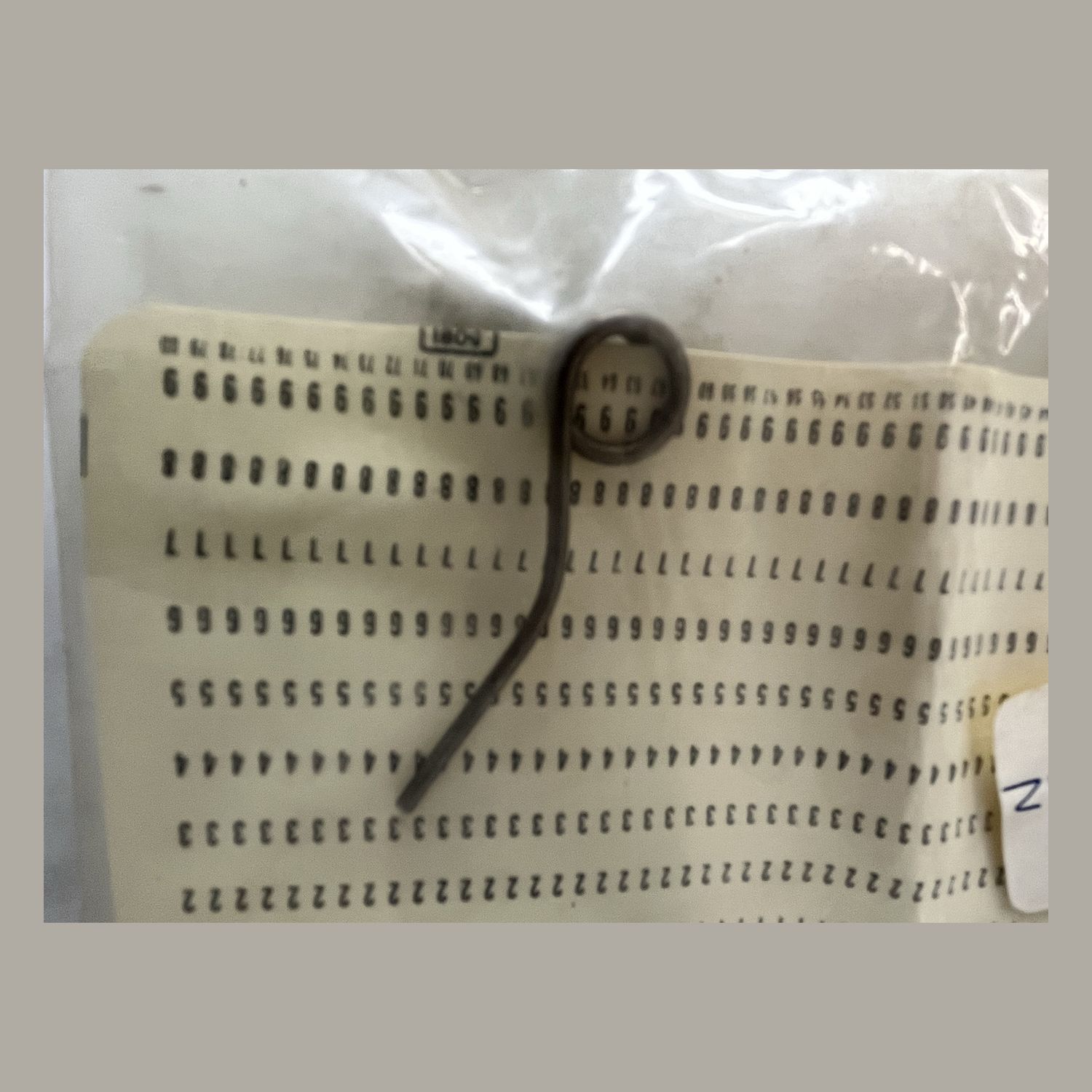 PIPER - SPRING - 487-412