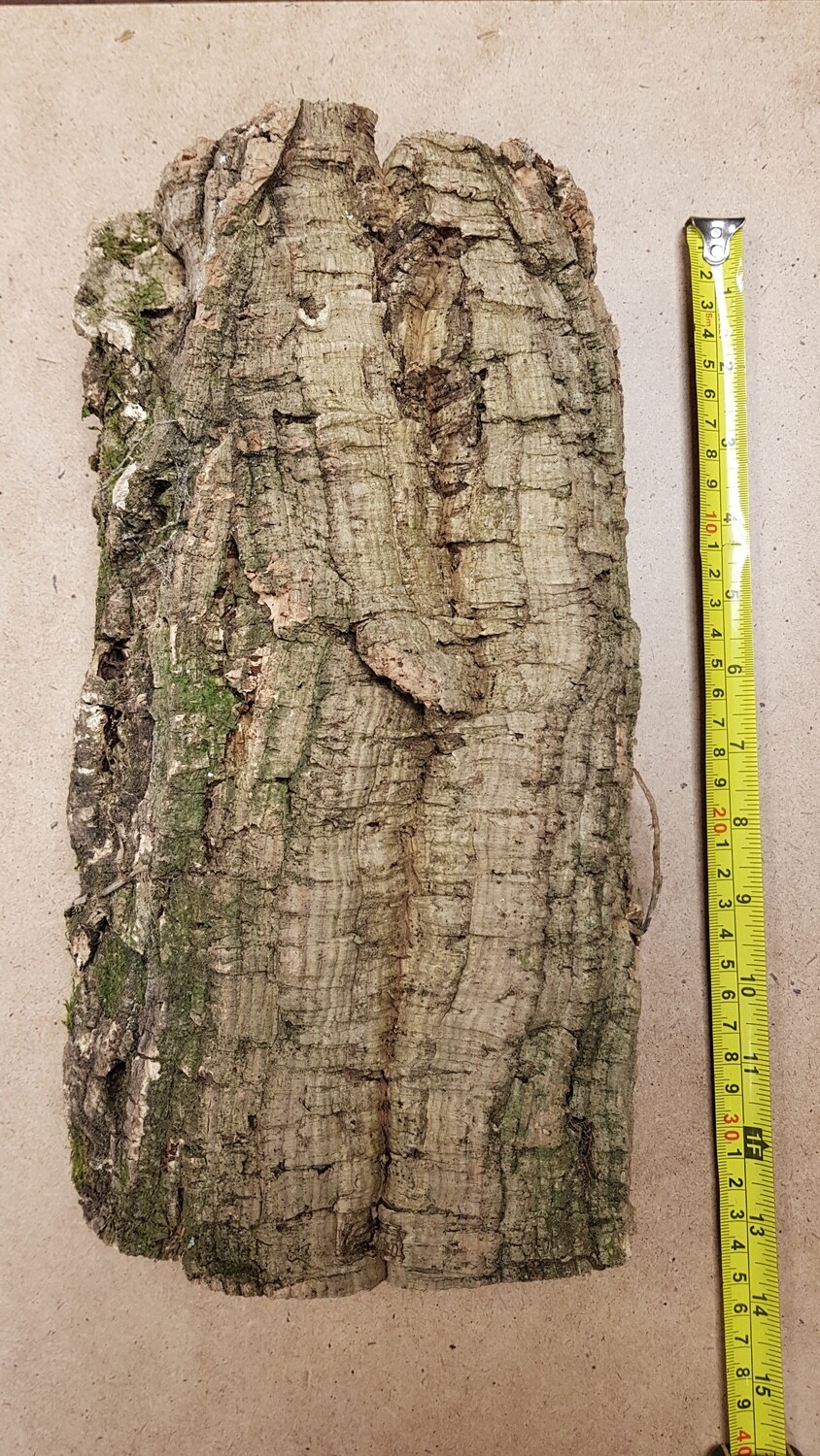 Large Natural Cork (20-40cm) Approx.