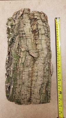 Large Natural Cork (20-40cm) Approx.