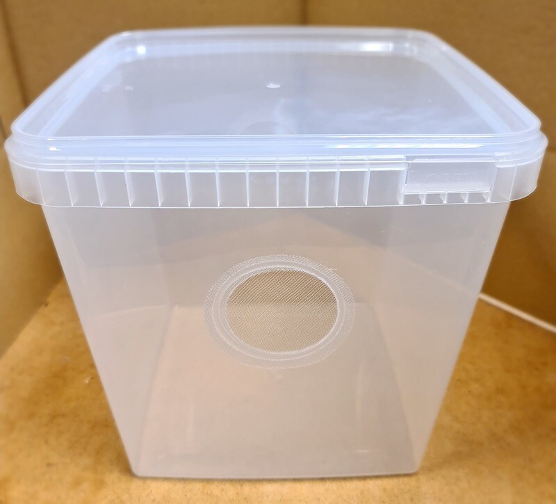 5L Tubs With Lids(5)