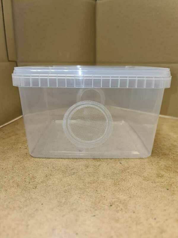 3L Tubs With Lids (5)