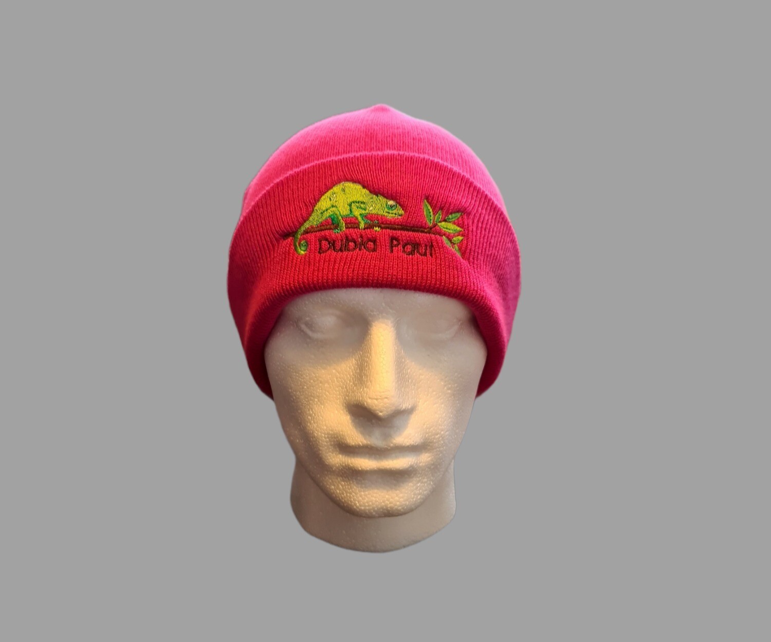 Beanie Chameleon (Pink)