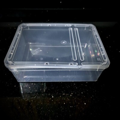3L RECTANGLE CONTAINER