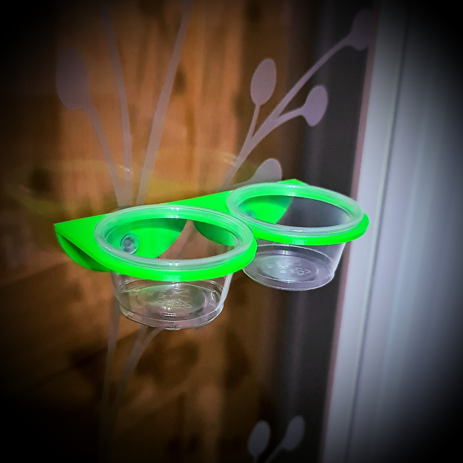 Double Crested Gecko Dish-Fluorecence green