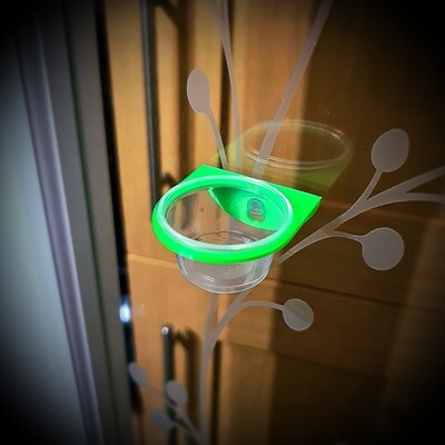 SINGLE CRESTED GECKO DISH