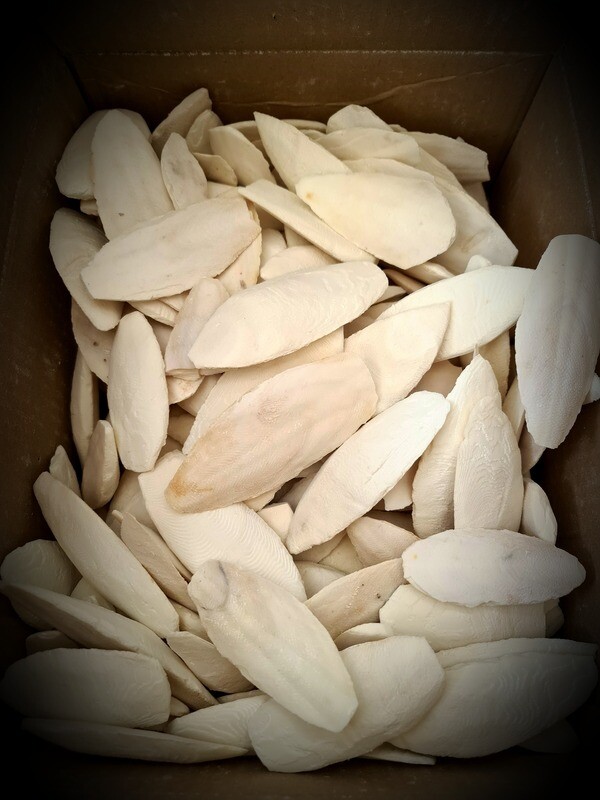 Mix Cuttle Fish 150g