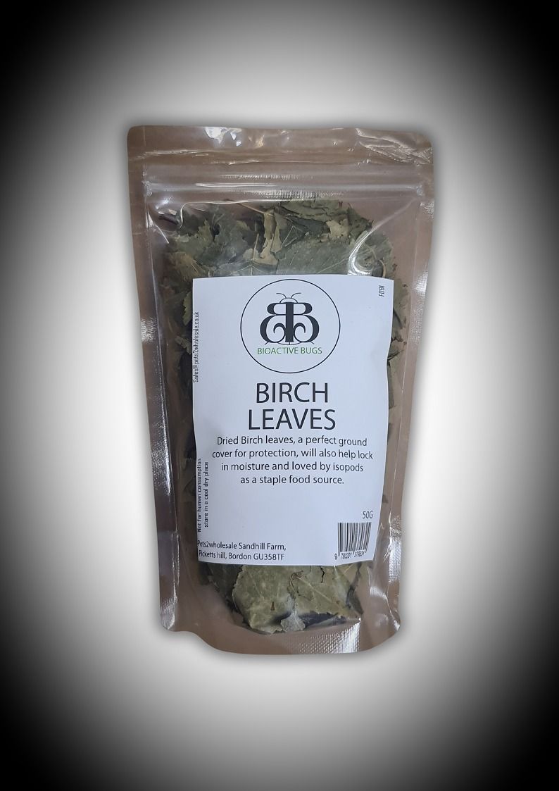 Birch leaves (50g)