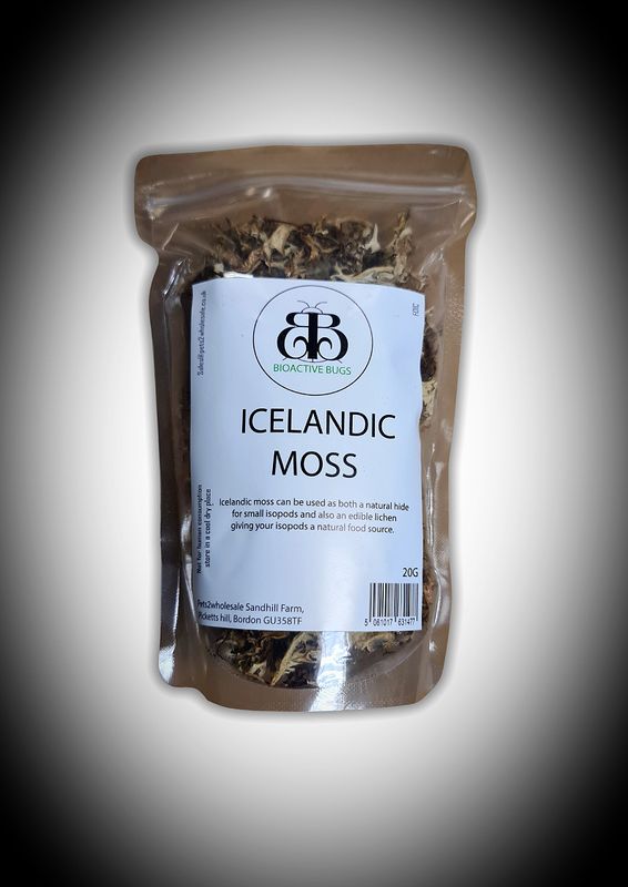 Icelandic Moss - Isopod Edible Hide (20g)