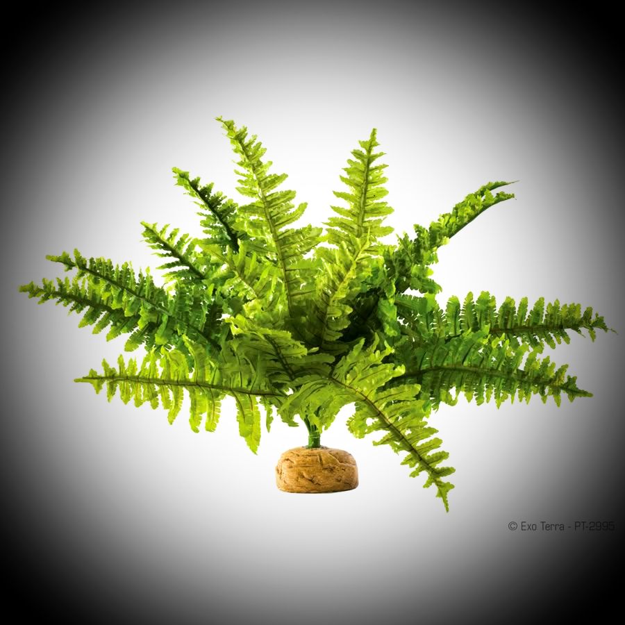 Artificial ET Boston Fern Medium, PT-2995