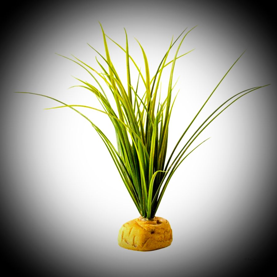 Artificial ET Turtle Grass, PT2996