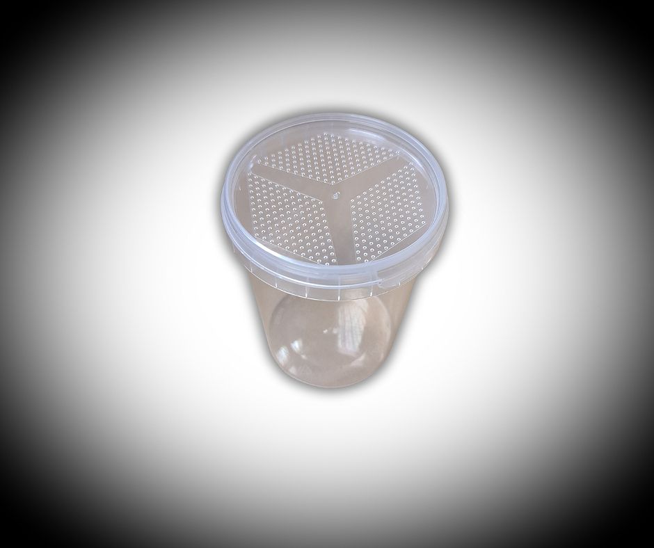 500ml Tubs With Lids (1)