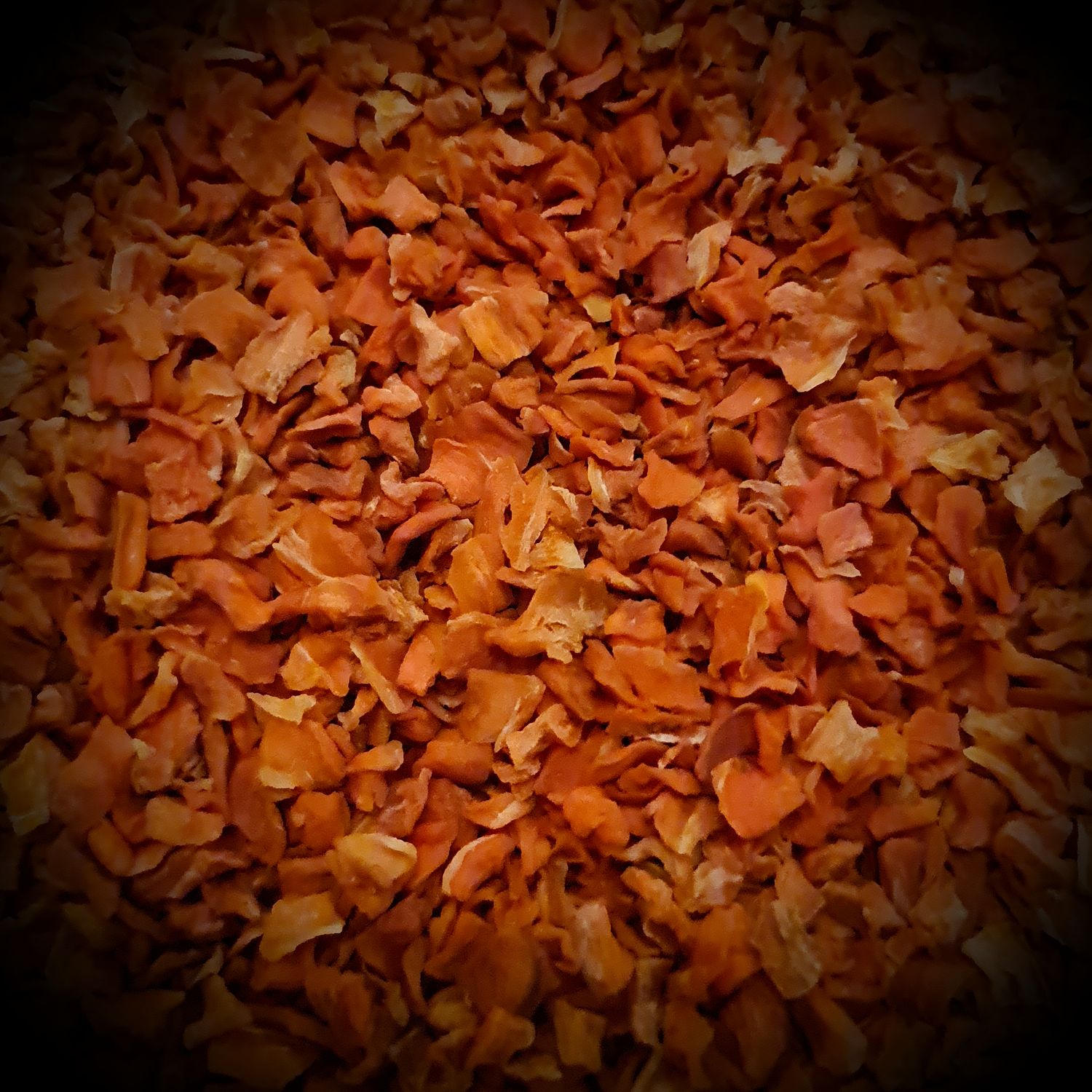 Dried Carrot Snack (20g)