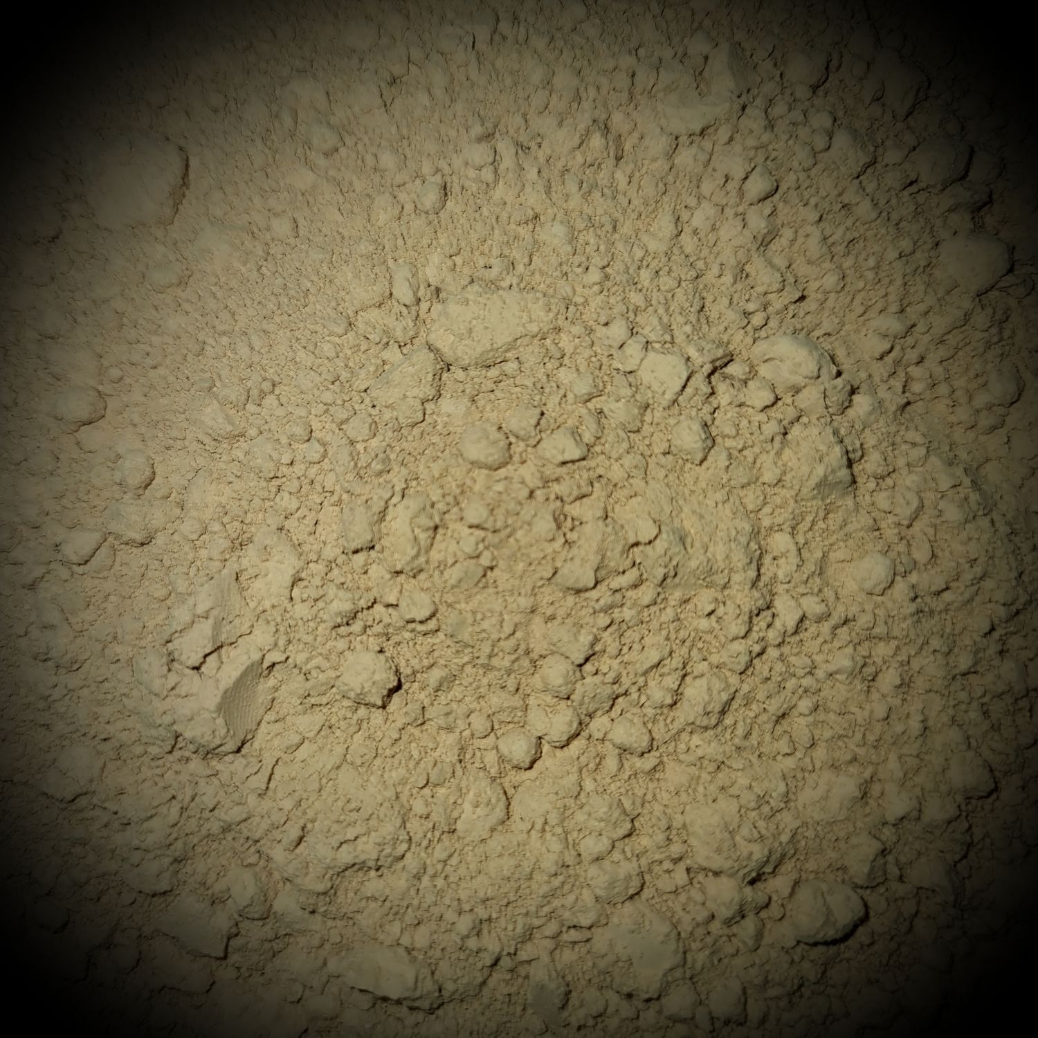 Dried Mushroom Powder (10g)