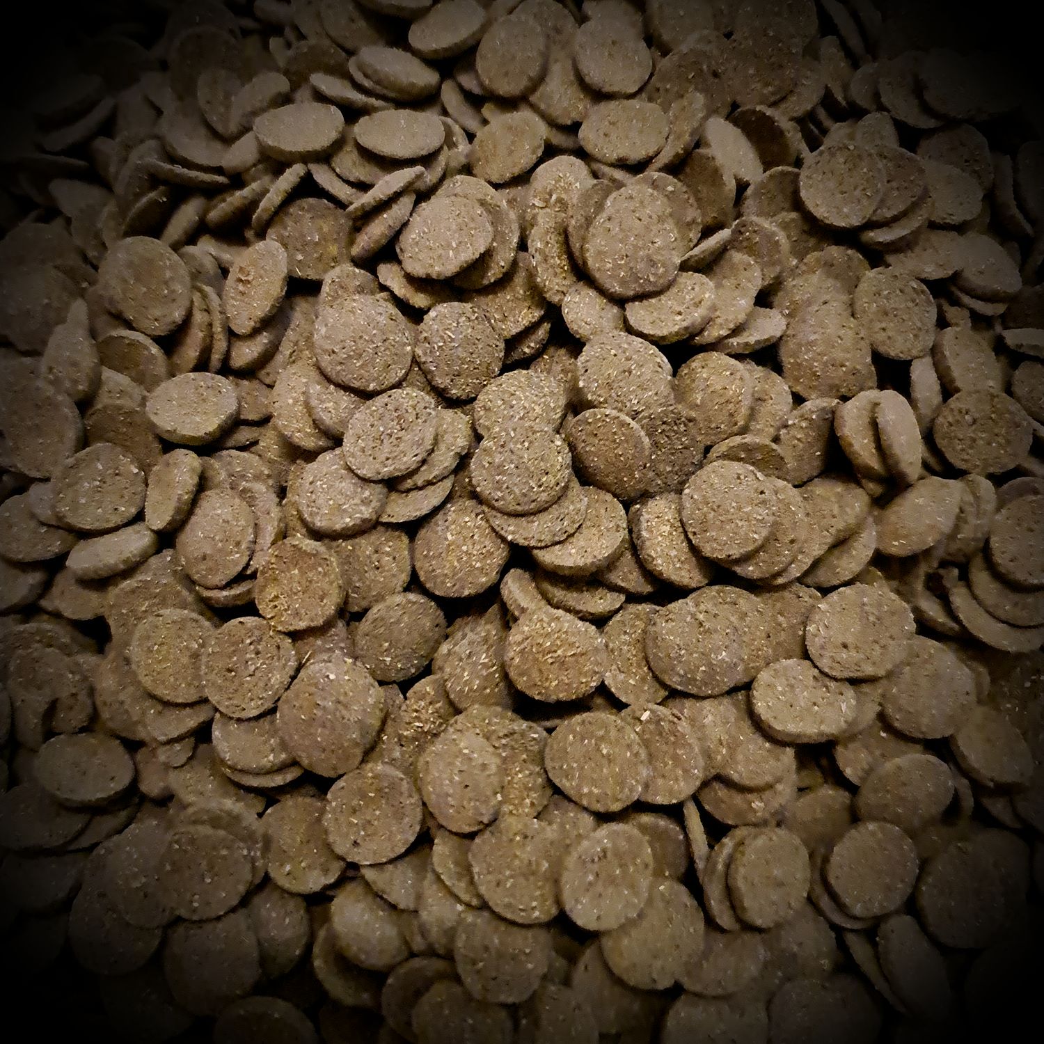 Spirulina Algae (20g)