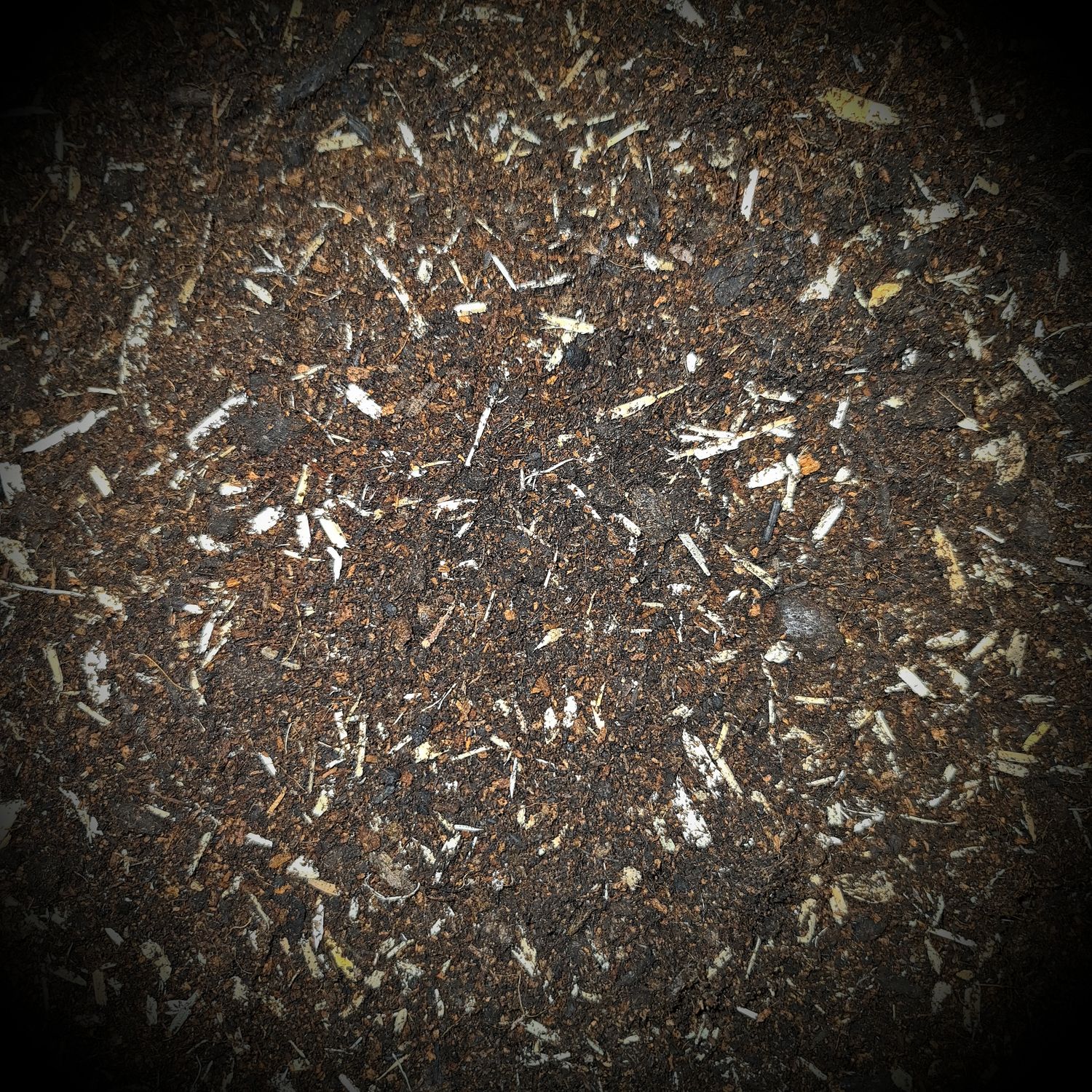 Bioactive Substrate (2 litres)