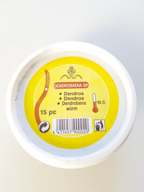 Earth Worms (Dendrobaena) 15-35 Per Tub