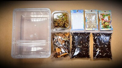 Isopods starter kit