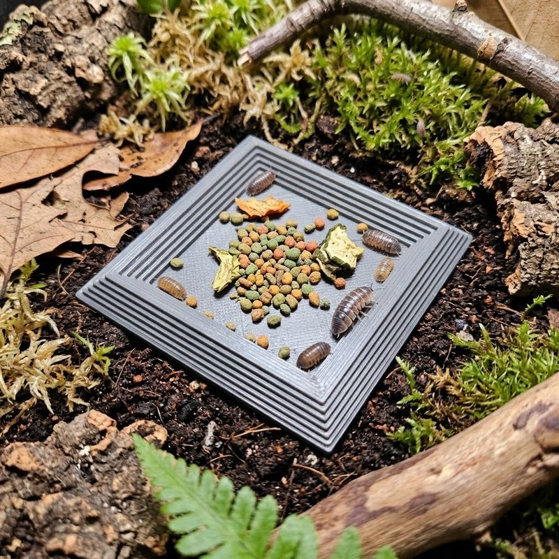 Pyramid Bowl – Stepped Feeding Dish for Isopods &amp; Microfauna