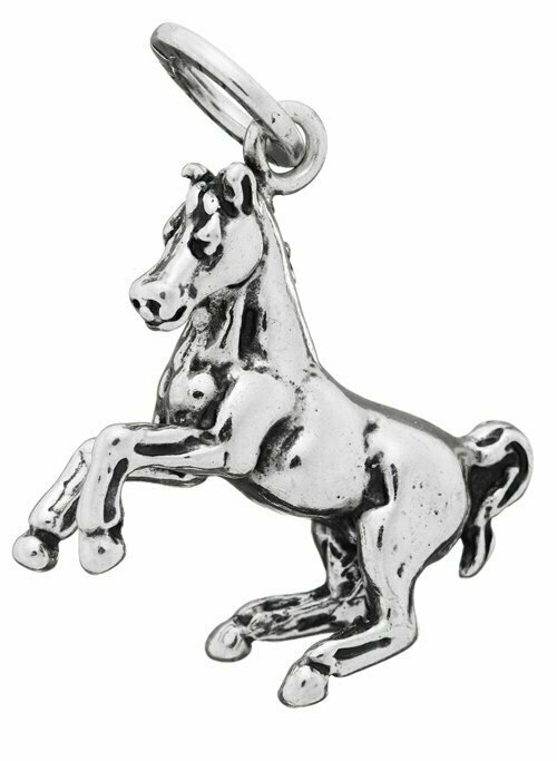 Charm Cavallo - Giovanni Raspini