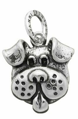 Charm Dog - Giovanni Raspini