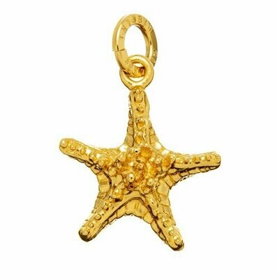 Charm Stella Grassa Dorata - Giovanni Raspini Charm Stella Grassa Dorata - Giovanni Raspini
