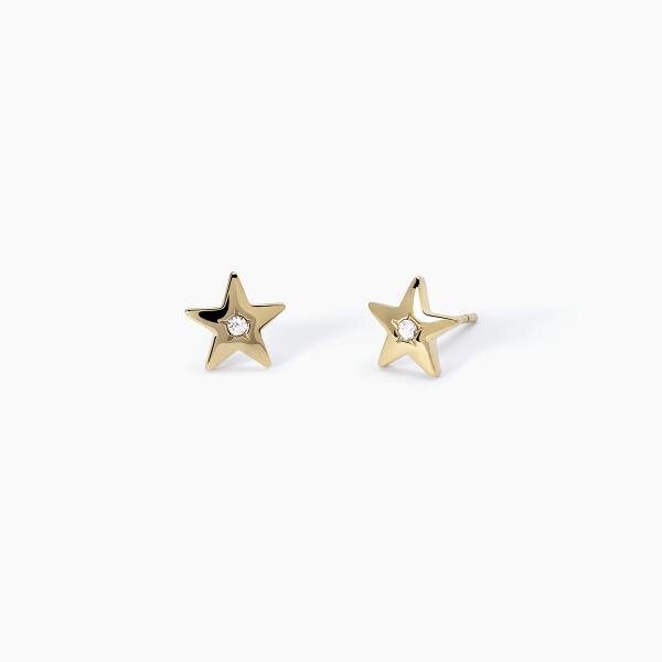 Orecchini in acciaio e PVD Gold a stella - 2Jewels