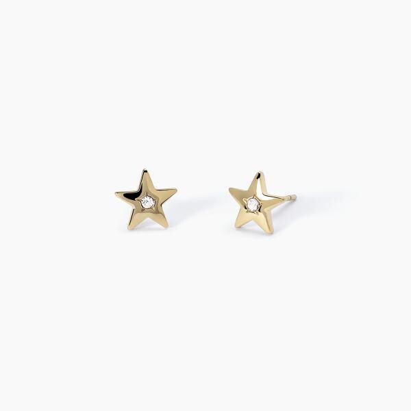 Orecchini in acciaio e PVD Gold a stella - 2Jewels