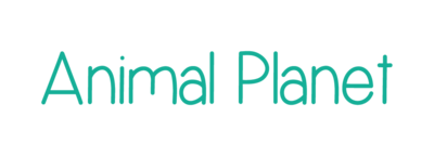 Animal Planet