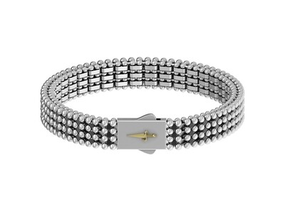 Bracciale TENNIS Argento&Oro - Cesare Paciotti Blaze Bracciale TENNIS Argento&Oro - Cesare Paciotti Blaze