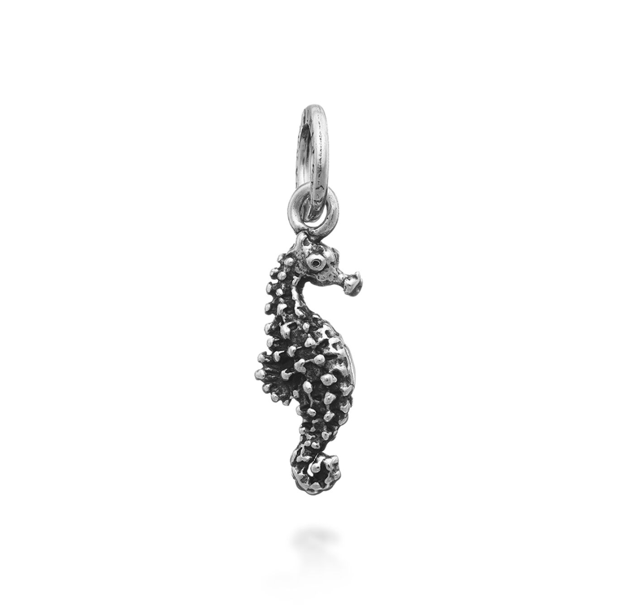 Charm Cavalluccio Marino